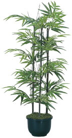 楽天市場 観葉植物 竹の通販