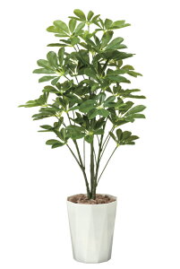 sA[gO[tslHϗtAtG}@̊y@VFt 90