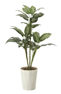 sA[gO[tslHϗtAtG}@̊y@fBtFoLA@90