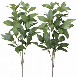 stsԁtG}@̊y@VL~2{Zbg