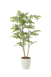 sA[gO[tslHϗtAtG}@̊y@CgglR1.0