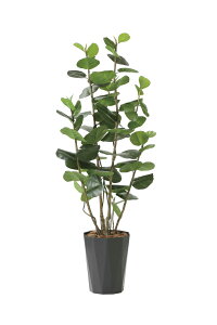 sA[gO[tslHϗtAtG}@̊y@V[O[vDX1.7