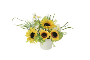 sA[gt[tsԁtG}@̊y@veBTt|