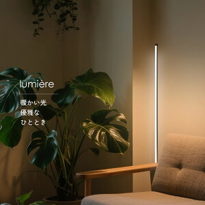 kX^hCg tACg ȃGlLED XCg ԐڏƖ 160cm d1kg Ǝ10cm2`15cm2 d36vȉ LED18w gF ubN y Vv _ tȒP ANZg