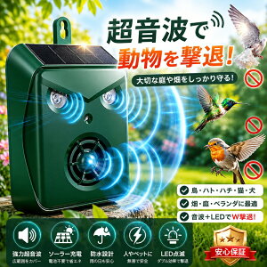 �y���������z���悯 �������ފ� �J���X�悯 ���悯 �L���� �����g ���悯 �����g���ފ� �x�� ���ʐ�� �X�s�[�J�[ �\�[���[�[�d Type-C �[�d �����ҋ@ IP54�h���h�o 120° 60m���m�͈� �L/��/��