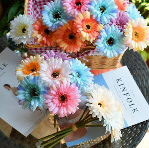 y5{Zbgz ͂Ȃ A[eBtBVt[ ẻ tFCNt[  DIY p[eB[ Be p z[ 뉀 Lb` ItBX i p[eB[   lHA 