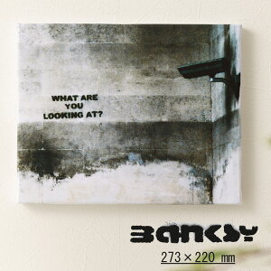 バンクシー BANKSY アートファインボード キャンバス アートファブリックパネル 273mm×220mm×20mm WhatAreYouLookingAt ホワットアーユールッキングアット グラフィティ ギフト トラッド