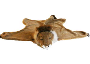 yԌ30%OFFz WILD&SOFT(ChAh\tg) Aj}wbh uPbg CI BB908 BIBIB&Co(rruAhR[) Animal Head