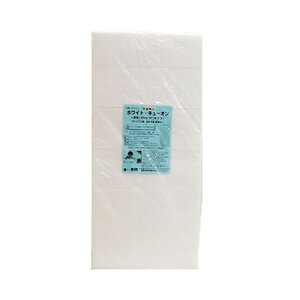h zEh zCgL[I ESW-415 W415×H910×50mm 1 h z fM h΍ I[fBI Xs[J[ Av sAm  h zCg  DIY