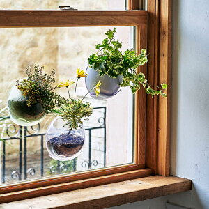 yԌ40%OFFz URBZ(A[uX) ǂɓ\v^[ NA/zCg/O[/sN 2 Jo[ v^[Jo[ |bg ϗtA   