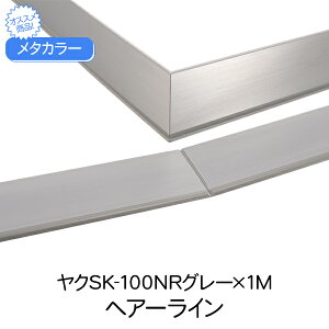 ^J[ ϐ ZLXC N SK-100NRO[ 1m wA[C SUSSK-NRsЖ؃V[Y Ж ͂΂ 100 ʍ SUS304 O[ sΉ   ޗ    Xe