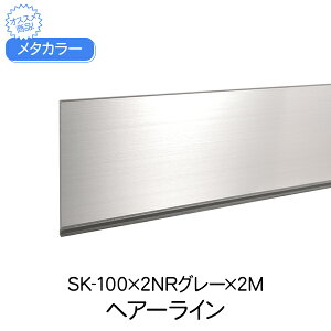 ^J[ ϐ ZLXC SK-100×2NRO[ 2m wA[C SUSSK-NRsЖ؃V[Y Ж ͂΂ 100 ʍ SUS304 O[ sΉ   ޗ    Xe