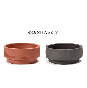 yԌ10%OFFz SERAX(ZbNX) V_[|bg Ȃ 19×H7.5cm bh/ubN 6 Jo[ v^[Jo[ |bg ϗtA   