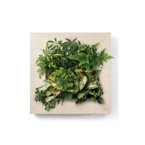 PIANTA×STANZA(sA^X^c@) }CM[ M g[i zCgEbh/`[N/NA/G{j[