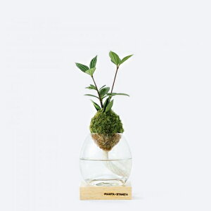 PIANTA×STANZA(sA^X^c@) g[` S yy~A
