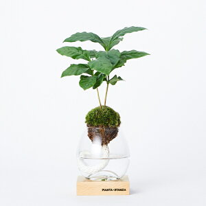 観葉植物 照明の人気商品 通販 価格比較 価格 Com