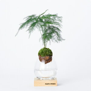 PIANTA×STANZA(sA^X^c@) g[` S AXp