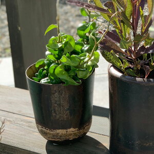 yԌ40%OFFz Affari(At@) gW[|bg H15 2 Jo[ v^[Jo[ |bg ϗtA   