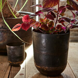 Affari(At@) gW[|bg H18 2 Jo[ v^[Jo[ |bg ϗtA   