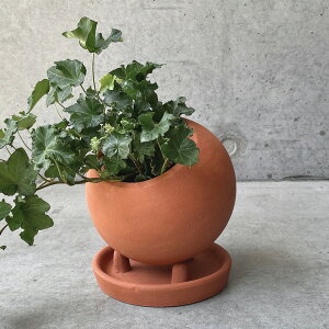 yԌ40%OFFz SERAX(ZbNX) Eh|bg EBY \[T[ 5 Jo[ v^[Jo[ |bg ϗtA   