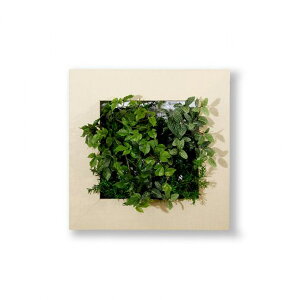 PIANTA×STANZA(sA^X^c@) }CM[ M tFCNO[ g[i zCgEbh/`[N/NA/G{j[