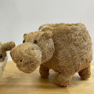 LIKHA(J[) Jo[ v^[ qb|v^[ 2 Jo[ v^[Jo[ |bg ϗtA   