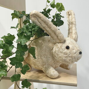 LIKHA(J[) Jo[ v^[ rbgv^[ 1 Jo[ v^[Jo[ |bg ϗtA   