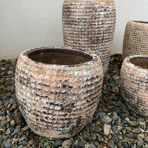 SERAX(ZbNX) v^C|bg H15 4 Jo[ v^[Jo[ |bg ϗtA   