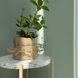 Affari(At@) Jt@|bg 12Jo[ |bg v^[Jo[ t[|bg W[g  ꌊȂ 12cm ی^ ϗtA   CO k  Vv i` oXP