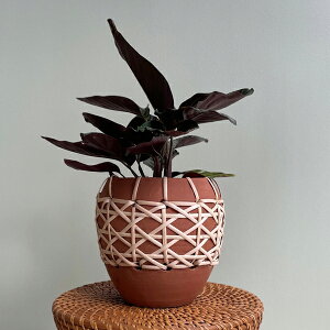 CLOVER(N[o[) eRb^/P[ v^[ 17 4 Jo[ |bg v^[Jo[ t[|bg eRb^ ^ ꌊȂ 16cm uE KF ی^ ϗtA   C