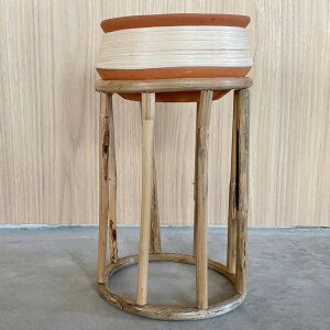 CLOVER(N[o[) eRb^/Ebhv^[ 4 ^ Jo[ |bg v^[X^h t[X^h eRb^ ꌊȂ 18.5cm×19.5cm×32cm uE KF ی^ ϗtA 