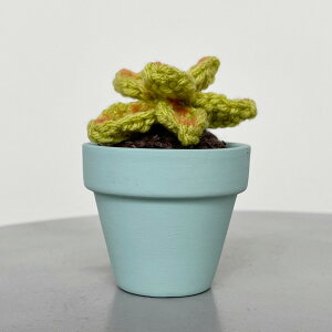 yԌ30%OFFz C Yarn Hut(V[[nbg) NVFZXN L