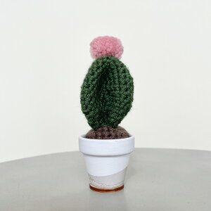 yԌ30%OFFz C Yarn Hut(V[[nbg) NVFJN^X r[{[ S