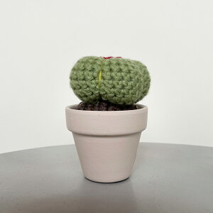 yԌ30%OFFz C Yarn Hut(V[[nbg) NVFJN^X Eh L