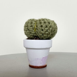 yԌ30%OFFz C Yarn Hut(V[[nbg) NVFJN^X Eh S