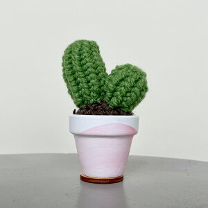 C Yarn Hut(V[[nbg) NVFJN^X s[ S