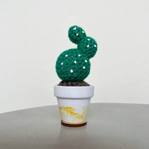 yԌ30%OFFz C Yarn Hut(V[[nbg) NVFJN^X oj[ S