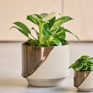 D&M(ディーアンドエム) タイドポット Ф23 ブロンズ/クリーム 7号 鉢カバー 鉢 鉢ポット フラワーポット ポット カバー 円柱 底穴なし おしゃれ プランター インテリア鉢 上品 陶器 室内 植物