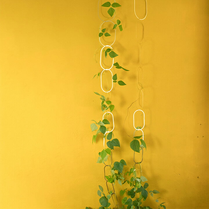 botanopia(ボタノピア) つる用サポート ブラス 1個植物支柱 植物用支柱 植物サポート 園芸支柱 植物用くい 杭 誘引 支え 支柱立て チェーン チェーン支柱 長さ調整 つる性植物 園芸 真鍮 ゴールド ガーデニング用品 インテリア 海外雑貨 upstairs outdoor living 植物つるサポート 植物クライミングつるサポート ラタンシェルフ 多層 中小植物用 28 x 25 cm グリーン 3個入り