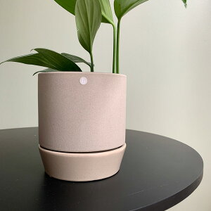 yԌ30%OFFz broste COPENHAGEN(uXe) t[|bg EBY\[T[ 14 x[W/bh/`R[ 4 Jo[ v^[Jo[ |bg ϗtA   