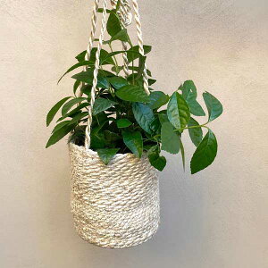 yԌ40%OFFz NORDAL(m_) [vnMO|bg i` 5 ݂蔫 Jo[ |bg v^[Jo[ t[|bg oXPbg W[g  16cm ی^ ϗtA   