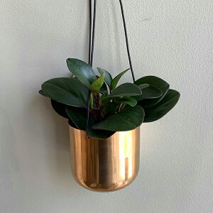 CLOVER(N[o[) A~nMOv^[ 11.5×H41cm S[h/2g[/}bgVo[ 3 Jo[  nLO nLOv^[ ݂艺 |bg ݂蔫 AnLO 