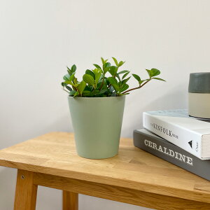 D&M(fB[AhG) \Eo[|bg U7 ~g 2 Jo[  |bg t[|bg |bg Jo[ Eh ی^ ꌊȂ  v^[ CeA