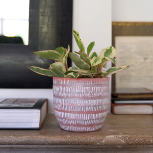 yԌ20%OFFz D&M(fB[AhG) gCo|bg U14 O[/R[ 4 Jo[  |bg t[|bg Eh|bg Jo[ ꌊȂ  Zg Zg