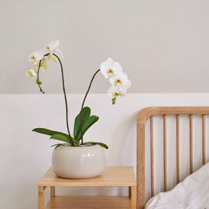 D&M(fB[AhG) W[|bg U27.5 N[/ubN 4 Jo[  |bg t[|bg Jo[ ꌊȂ  v^[ CeA    A ϗtA j