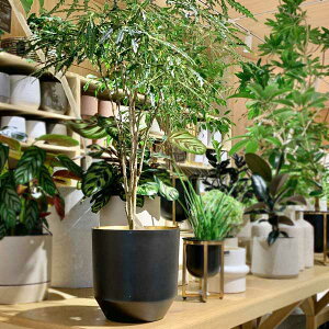 CLOVER(N[o[) A~v^[ ubN 21 5`6Jo[  Aؔ  v^[ A ϗtA |bg v^[ A~ A~f  S[h X^CbV GK