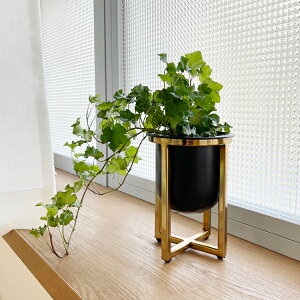 CLOVER(N[o[) ACAv^[ EBYS[hX^h H17 2 2.5Jo[  Aؔ X^h v^[X^h  v^[ A ϗtA |bg v^[ ACA