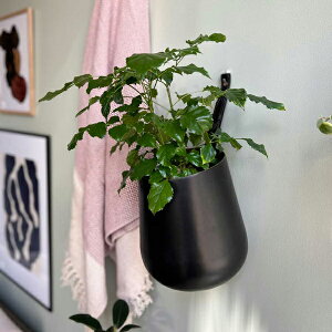 CLOVER(クローバー) アルミハンギングプランター ウィズ レザー Φ22×H27 ゴールド/2トーン 5号鉢カバー 鉢 ハンキング ハンキングプランター 吊り下げ 鉢ポット 吊り鉢 鉢植えハンキング 植木鉢