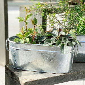 CLOVER(N[o[) uLOv^[ 34 3Jo[  uL uL uL Aؔ Jo[uL  v^[ v^[ A ϗtA |bg v^[ V