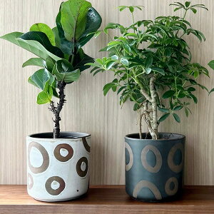 Bloomingville(u[~OB) A{fRt[|bg O ubN/zCg 12 3 Jo[ |bg v^[Jo[ t[|bg eRb^ ꌊȂ 12cm   ی^ ϗtA